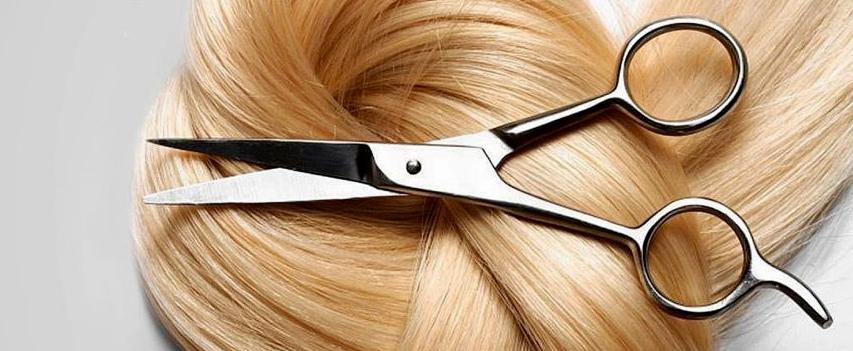 Подведение итогов семинаров «Техника Английских стрижек»